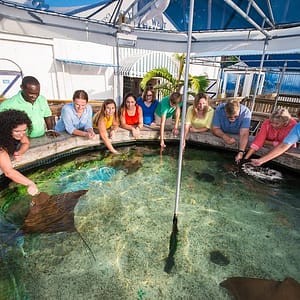 Key West Aquarium